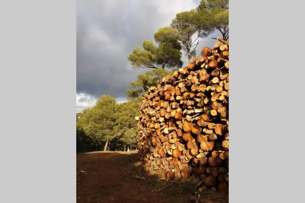 Bastide Au Milieu Des Vignes Et Des Oliviers Aups Villa 0*,  France