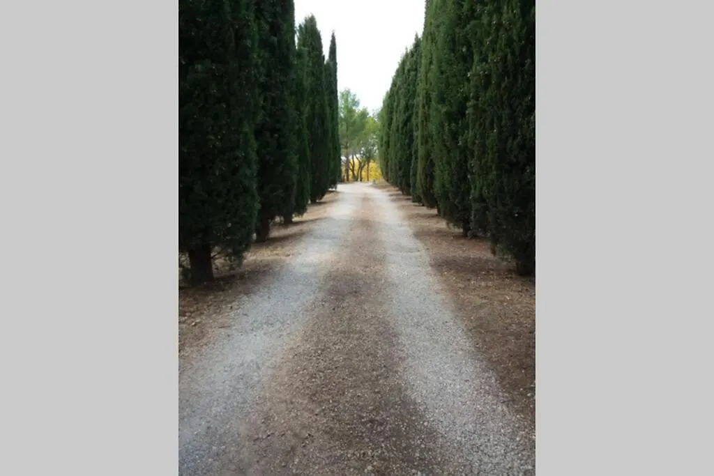 Bastide Au Milieu Des Vignes Et Des Oliviers Aups Villa Holiday home